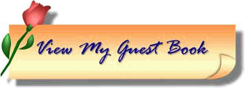 Princess Guestbook